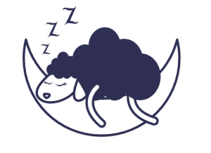 « Le sommeil … une histoire à dormir debout ? »